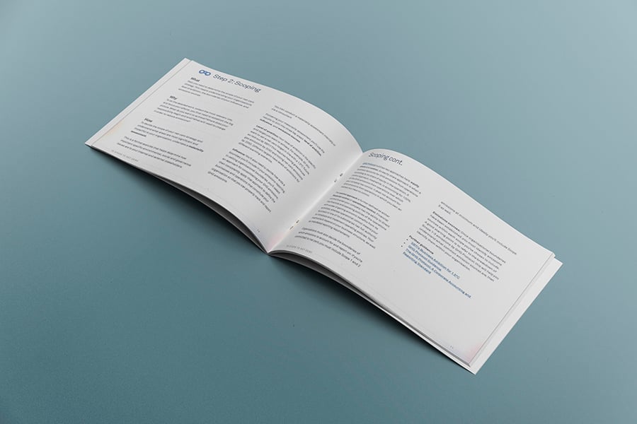 RIO_10Steps_BookMockUp